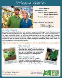 volcano-veggies_hdffa