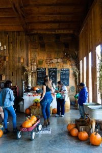Central Oregon Pumpkin Patch Barn at DD Ranch